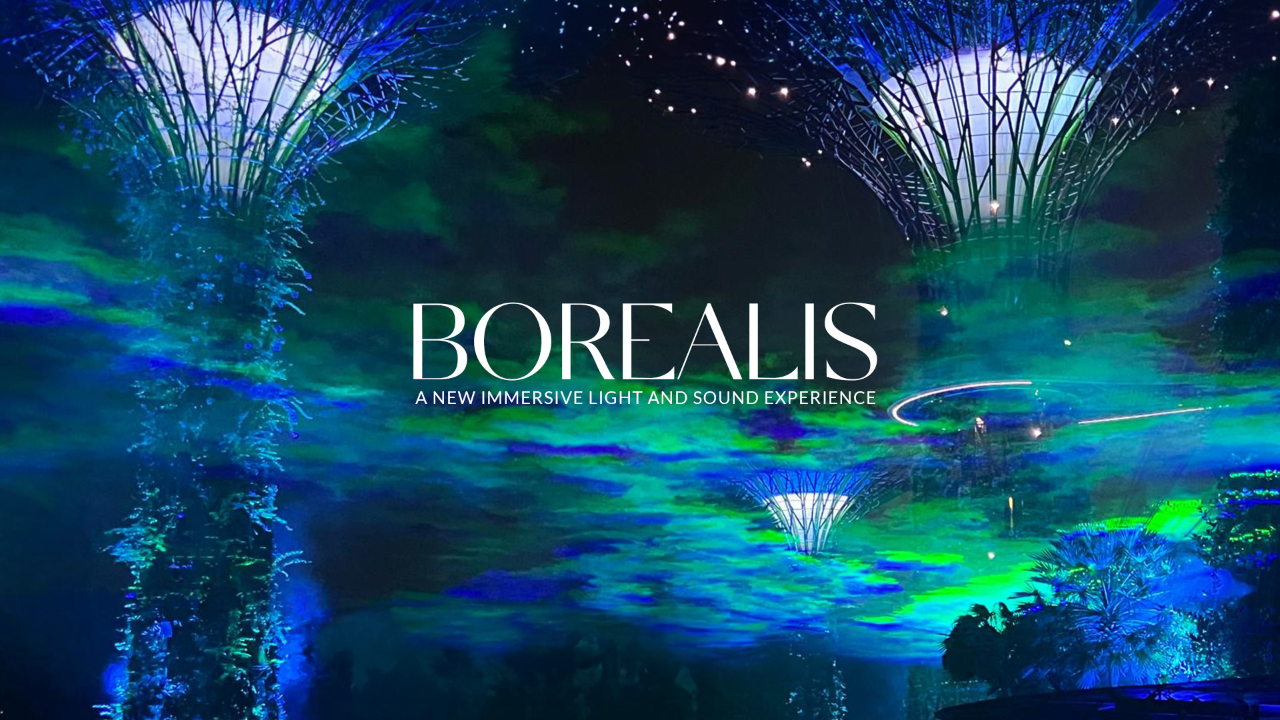 Borealis at Supertree Grove