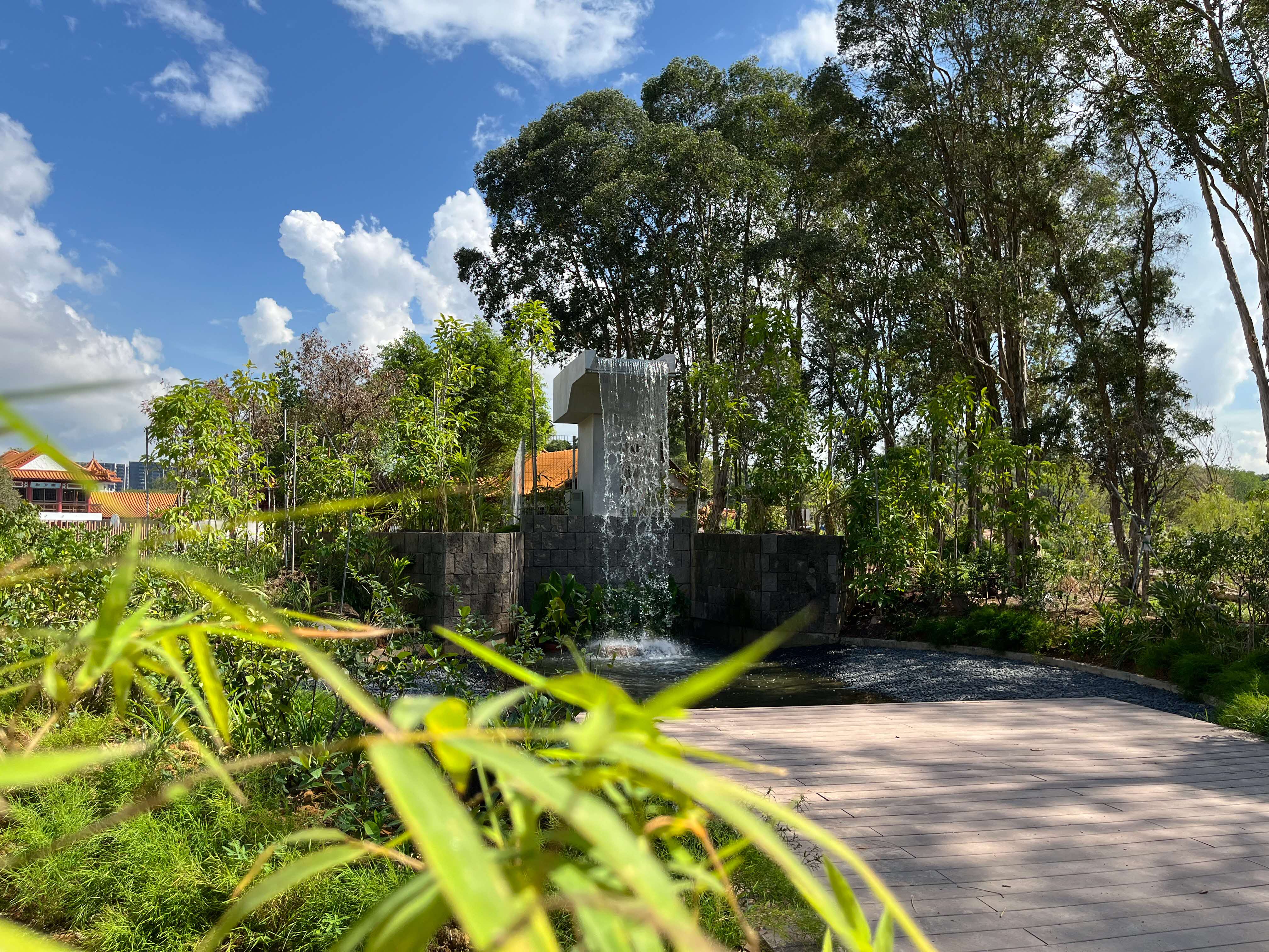 Chinese and Japanese Gardens Reopening