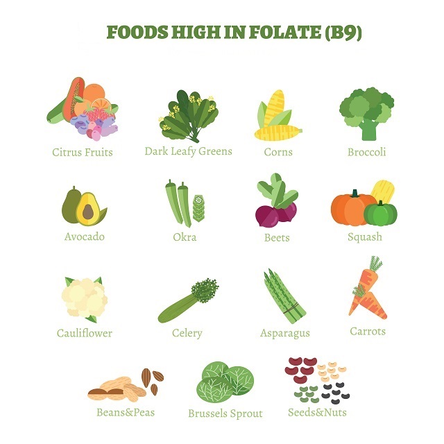 Foods High In Folic Acid