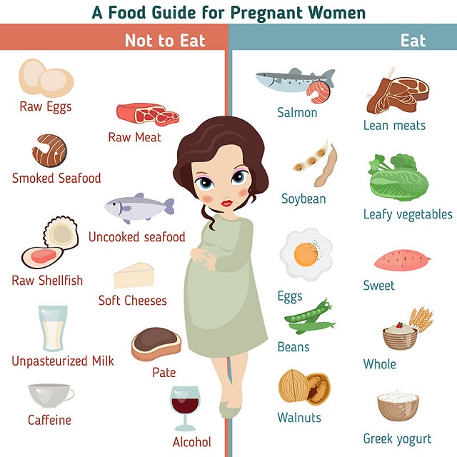 Nutrition During Pregnancy