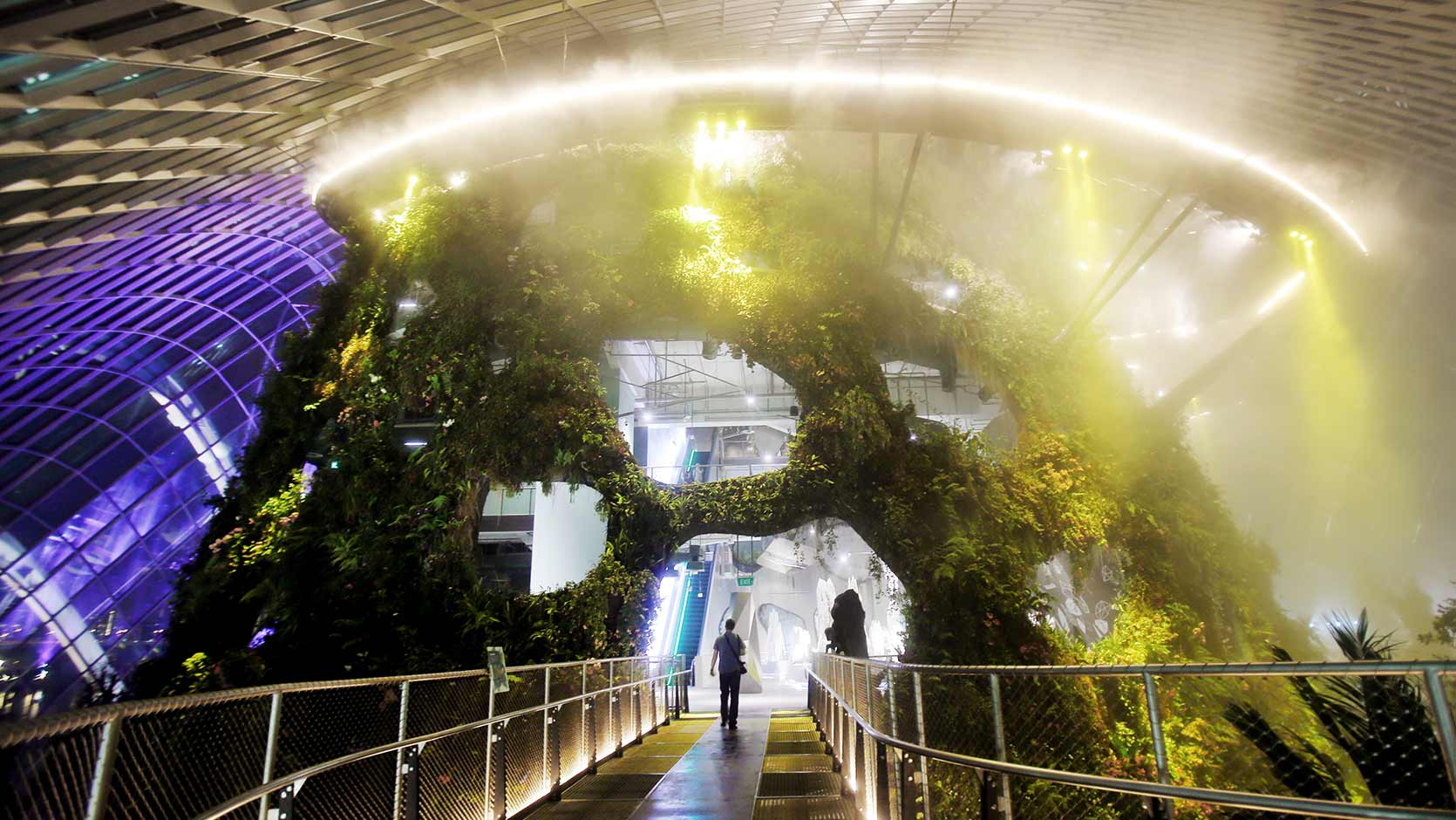 Hidden Forest at Gardens by the Bay