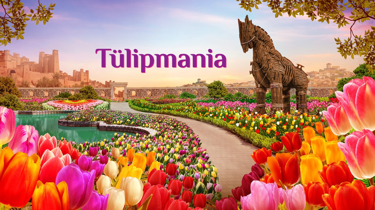 Tulipmania