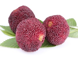 Can I eatBayberryduring pregnancyHealth benefits, nutrition value as well as side effect of this food on the pregnant women and the growing fetus. Amount to be taken to maximize the health benefits of this food and minimize the side effect on the expecting mother and growing baby