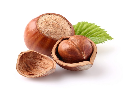 Is it safe to eat Hazelnut during pregnancy, breastfeeding or while trying to conceieve?Is it healthy for infant, toddler or childrent to eat?