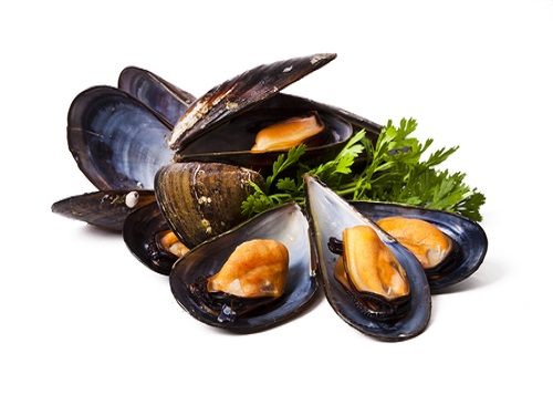 Can I eatMusselduring pregnancyHealth benefits, nutrition value as well as side effect of this food on the pregnant women and the growing fetus. Amount to be taken to maximize the health benefits of this food and minimize the side effect on the expecting mother and growing baby